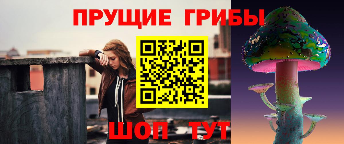 Елабуга  купить наркотик  Вход с VPN  Галлюциногенные грибы Psilocybe 